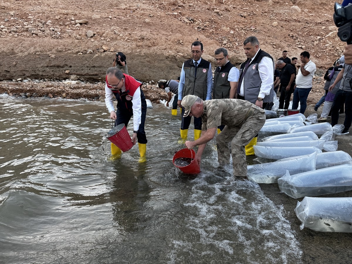 Tarım ve Orman Bakanlığının "Su Kaynaklarının Balıklandırılması Projesi" kapsamında Şanlıurfa Su...