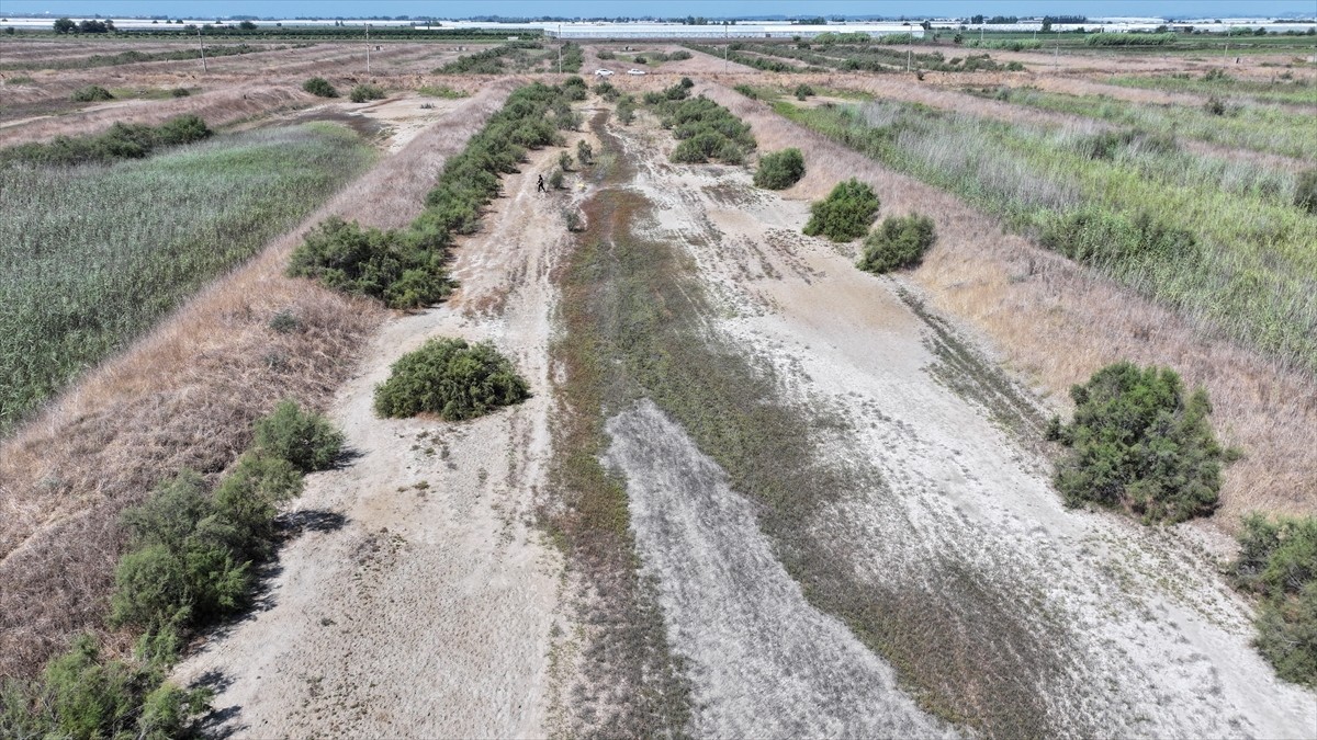 Antalya'nın Manavgat ilçesinde 25 yıldır bekçilik yaptığı 500 dönümlük arazide yıllık 3 ton deniz...