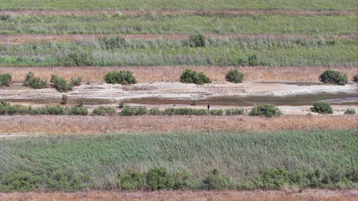 Antalya'nın Manavgat ilçesinde 25 yıldır bekçilik yaptığı 500 dönümlük arazide yıllık 3 ton deniz...