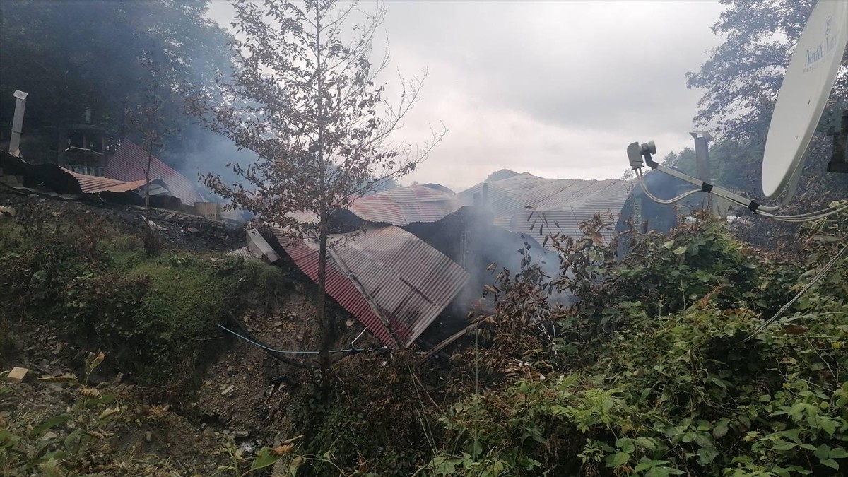 Artvin'in Hopa ilçesinde bir restoranda yangın çıktı.  Ekiplerin yaklaşık 1 saatlik çalışmasıyla...