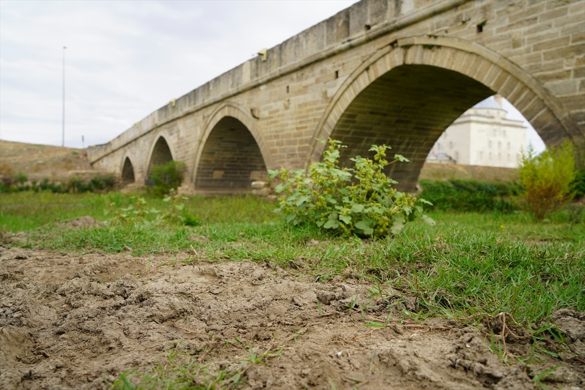 Edirne'nin önemli su kaynaklarından olan Tunca Nehri'nin debisi 2021 yılından beri düşüyor....