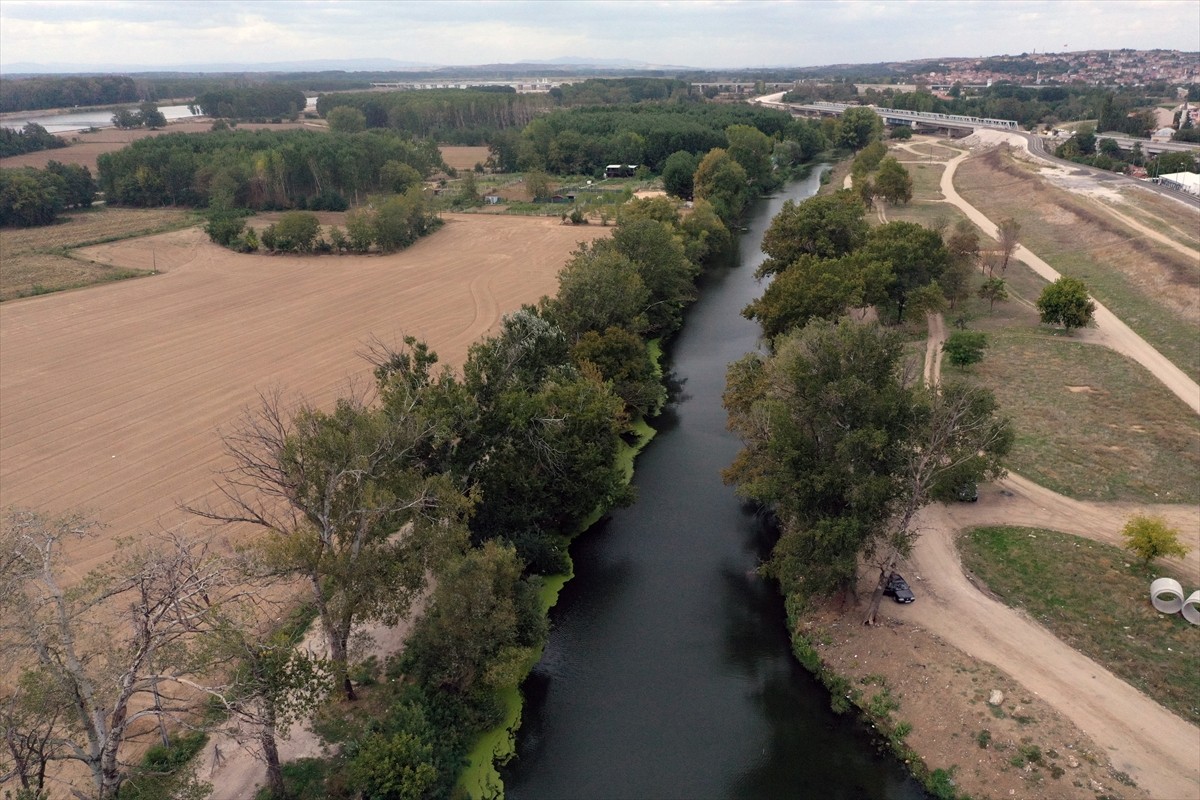  Edirne'nin önemli su kaynaklarından olan Tunca Nehri'nin debisi 2021 yılından beri düşüyor....