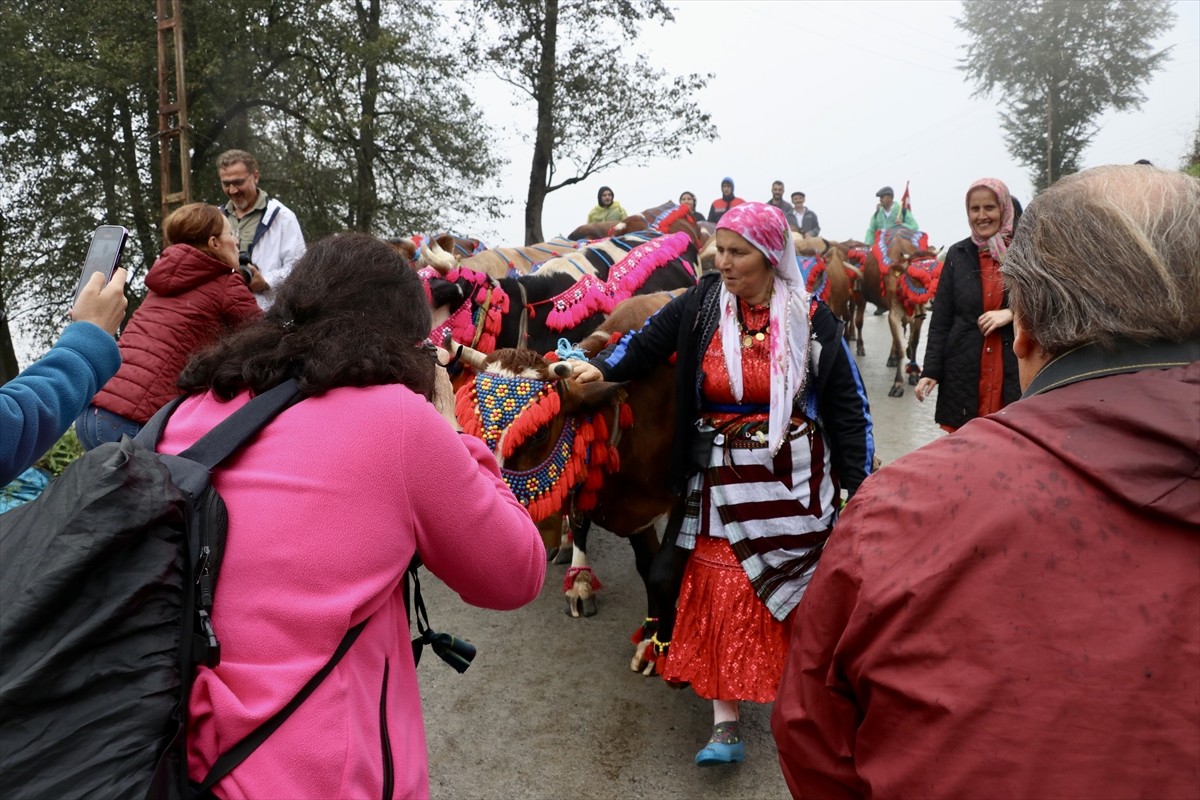 Doğu Karadeniz'de yaz başında küçükbaş ve büyükbaş hayvanlarıyla yaylalara çıkan vatandaşlar...