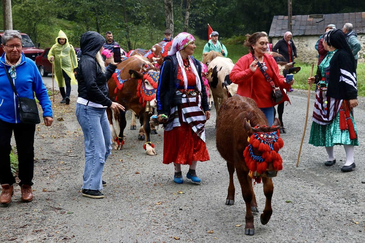 Doğu Karadeniz'de yaz başında küçükbaş ve büyükbaş hayvanlarıyla yaylalara çıkan vatandaşlar...