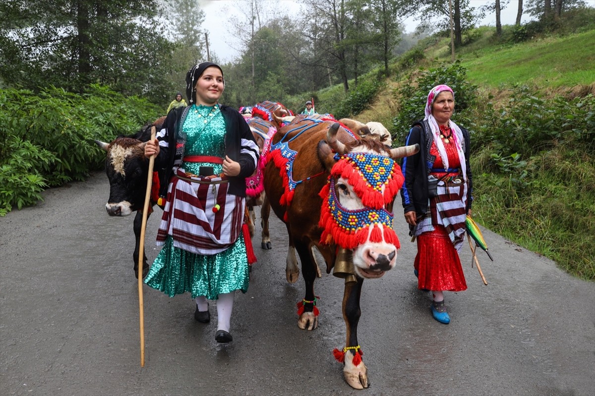 Doğu Karadeniz'de yaz başında küçükbaş ve büyükbaş hayvanlarıyla yaylalara çıkan vatandaşlar...