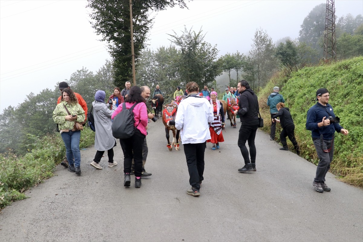 Doğu Karadeniz'de yaz başında küçükbaş ve büyükbaş hayvanlarıyla yaylalara çıkan vatandaşlar...