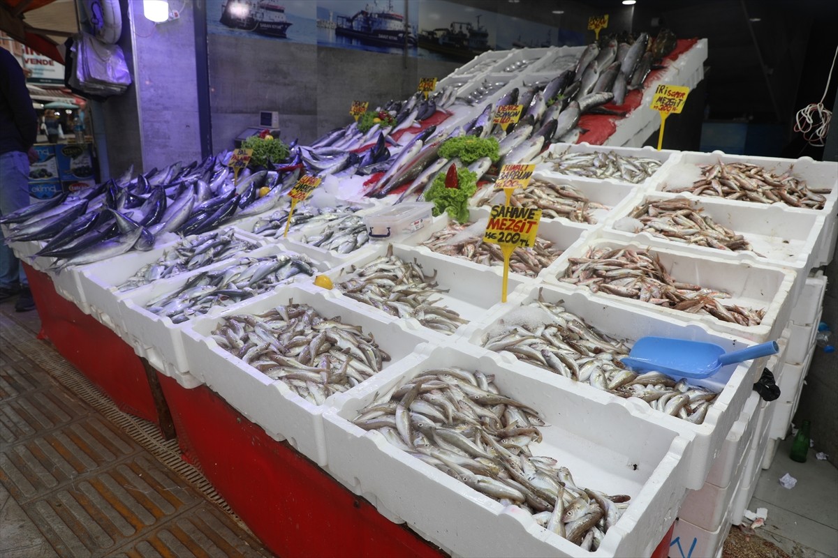 Samsun'da palamudun tanesi 150 liradan satılıyor. Karadeniz'de av sezonunun başlamasıyla bol...