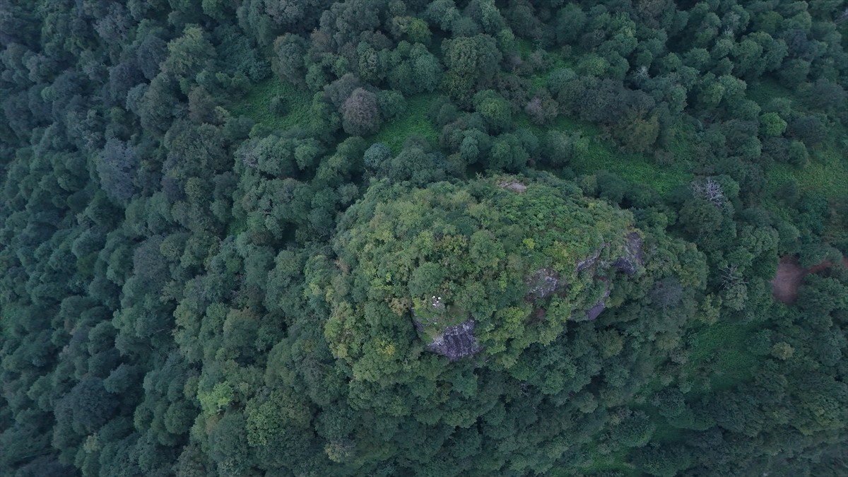 Artvin'de üç noktadaki arkeolojik kazı alanları jeoradar (yer altı radarı) ile görüntülendi....