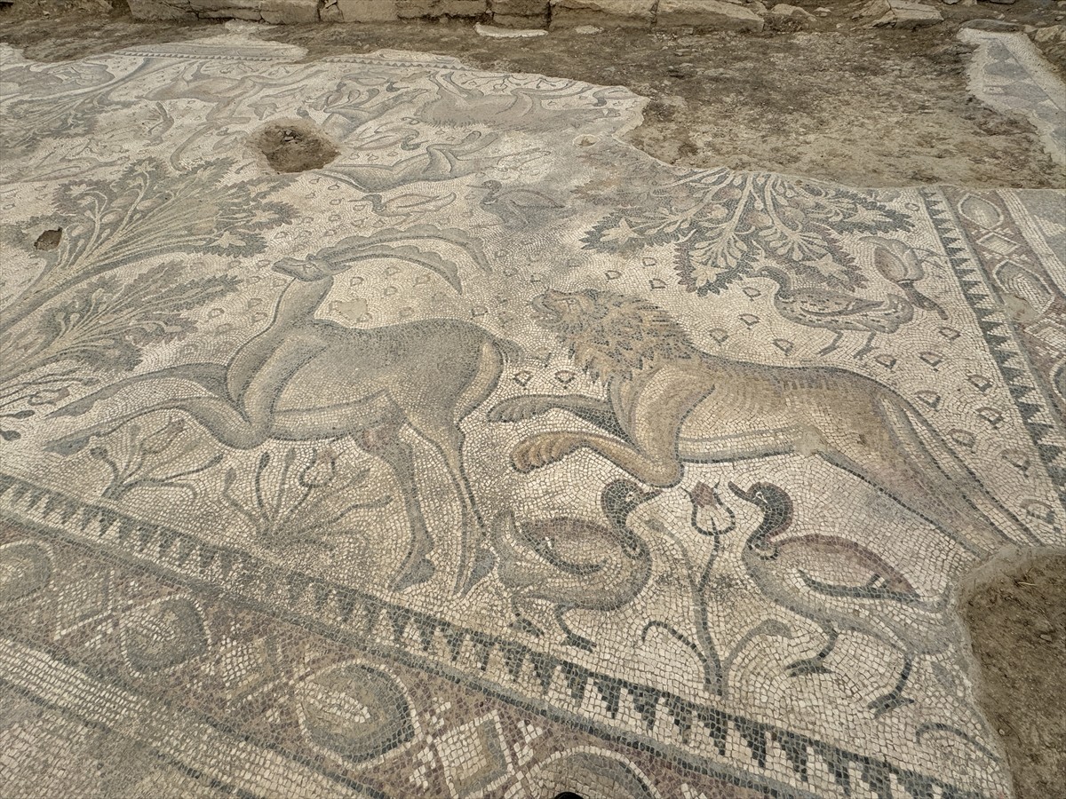 Elazığ'da bir tarla sahibinin fidan dikmek için çukur açarken geçen sene tesadüfen bulduğu, Roma...