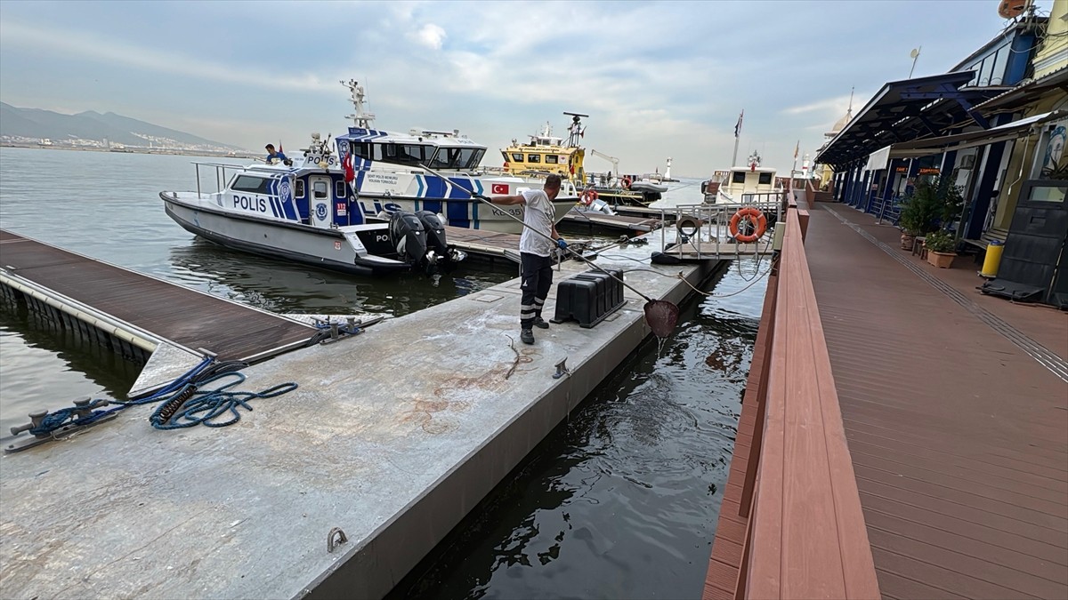 İzmir Körfezi'nde kötü koku ve balık ölümleri devam ediyor.