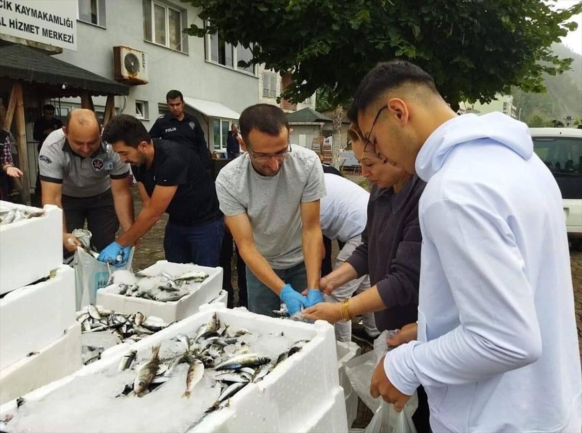 Sinop’un Ayancık ilçesinde kaçak yolla avlandığı tespit edilen balıklar, ücretsiz olarak...