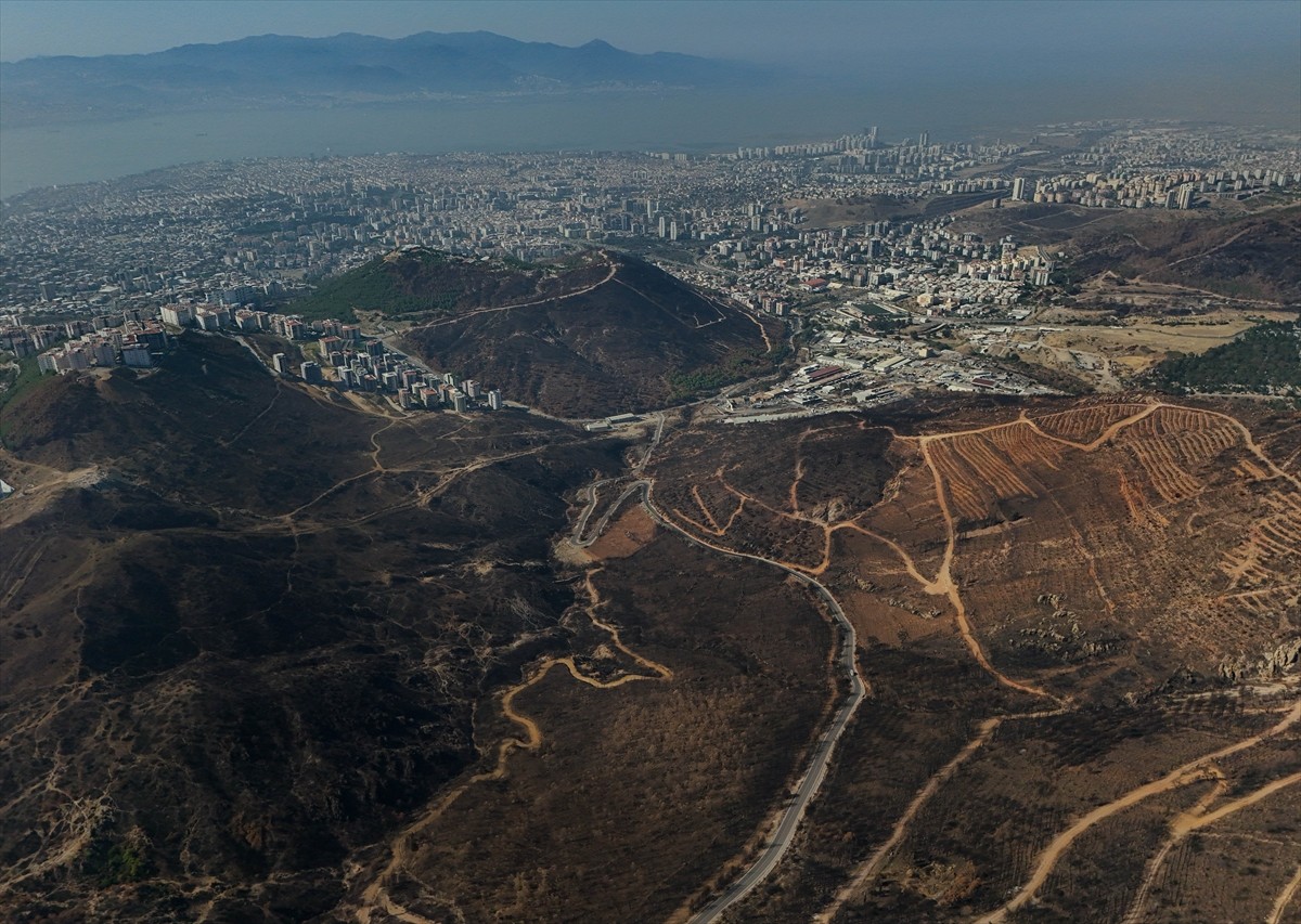 İzmir'in Karşıyaka ilçesinde 15 Ağustos'ta çıkan orman yangınında zarar gören alana 1 milyon 100...