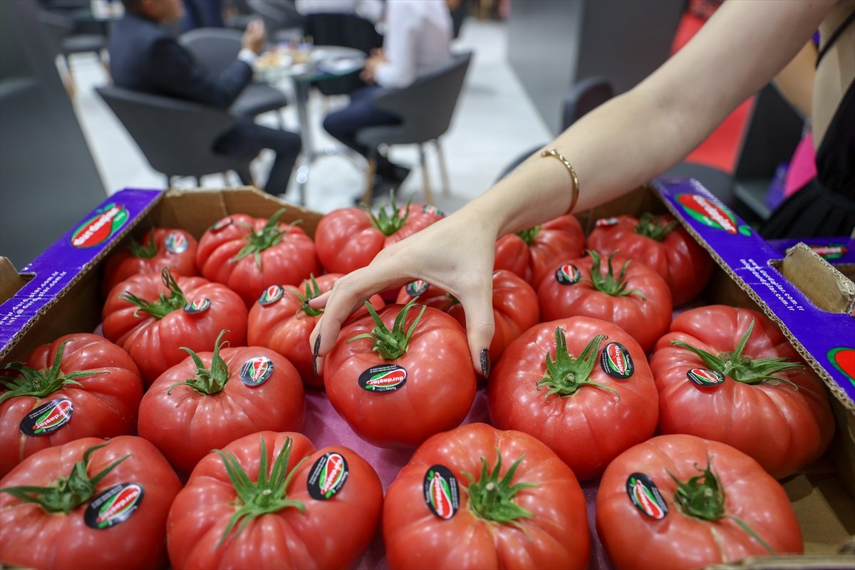 İzmir'de ilk kez düzenlenen Interfresh Eurasia Yaş Meyve Sebze Fuarı, meyve ve sebze sektörü ile...