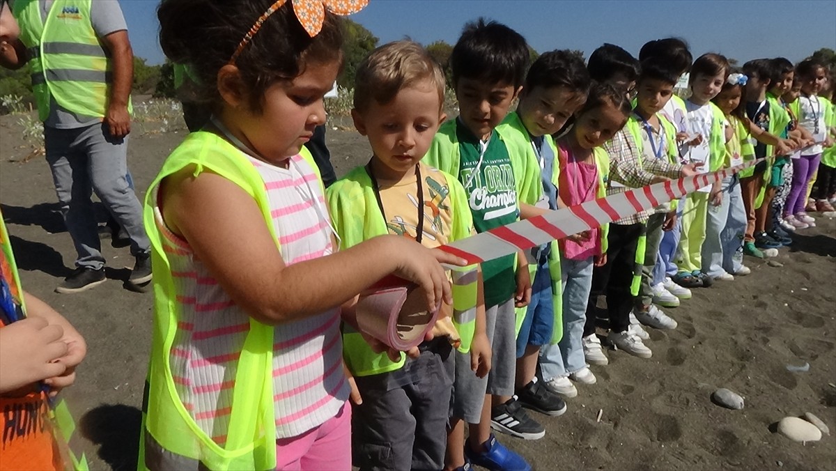 Mersin'in Erdemli ilçesinde koparılması yasak olan kum zambaklarının çiçeklendiği kumsalda...