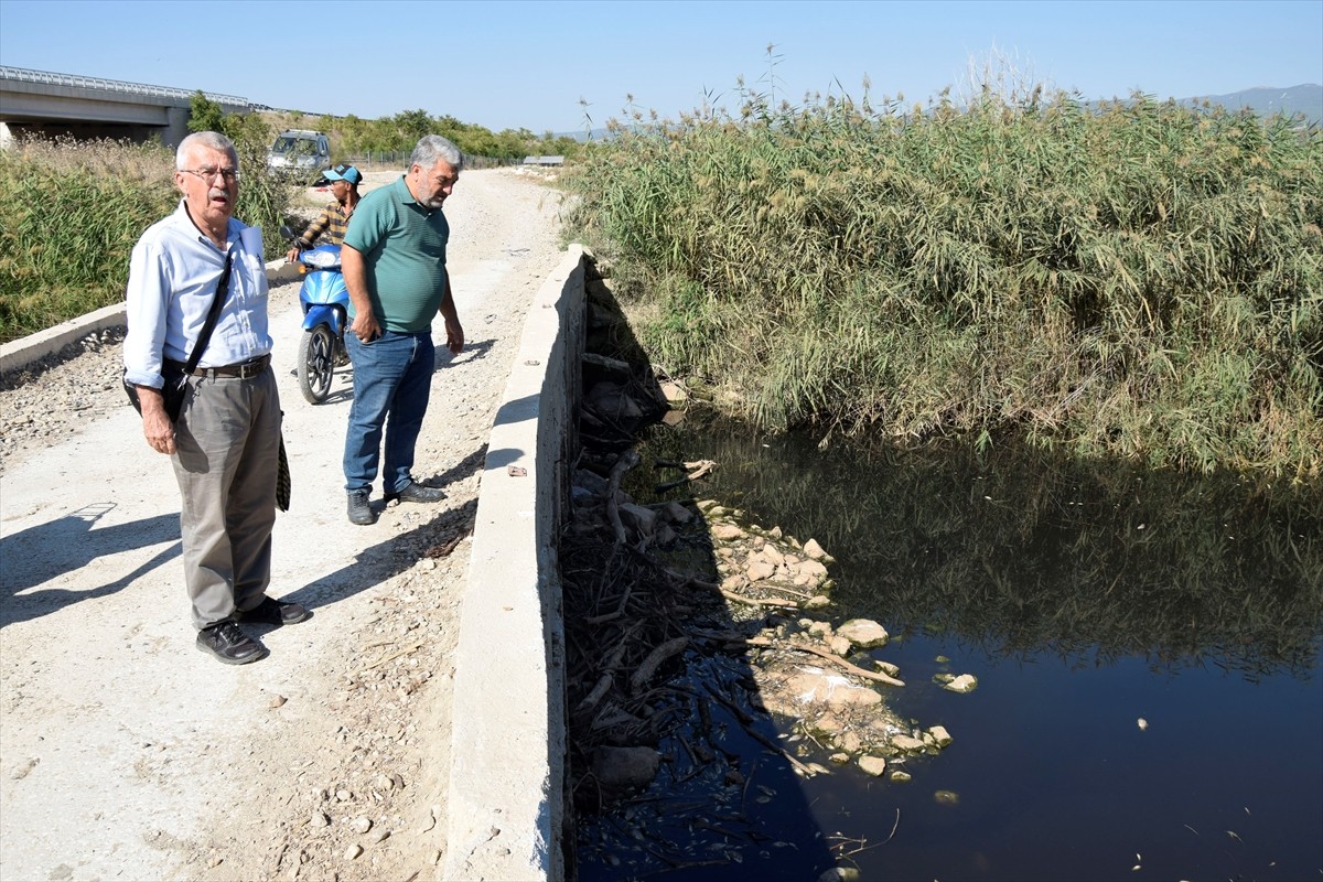 Gediz Nehri'nin Manisa'nın Turgutlu ilçesinden geçen bölümünde toplu balık ölümleri görüldü, su ve...