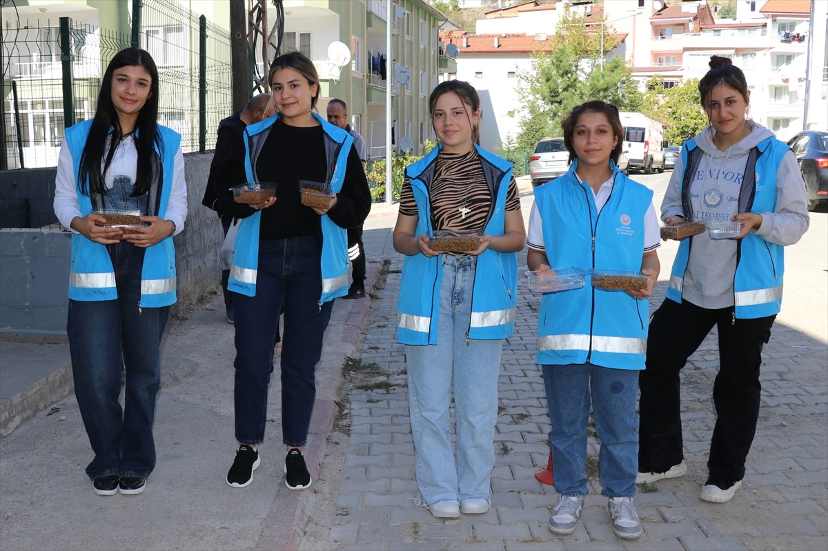 Amasya'da öğrenciler, sokaklarda uygun yerlere kedi ve köpekler için mama ve su koydu. Aile ve...