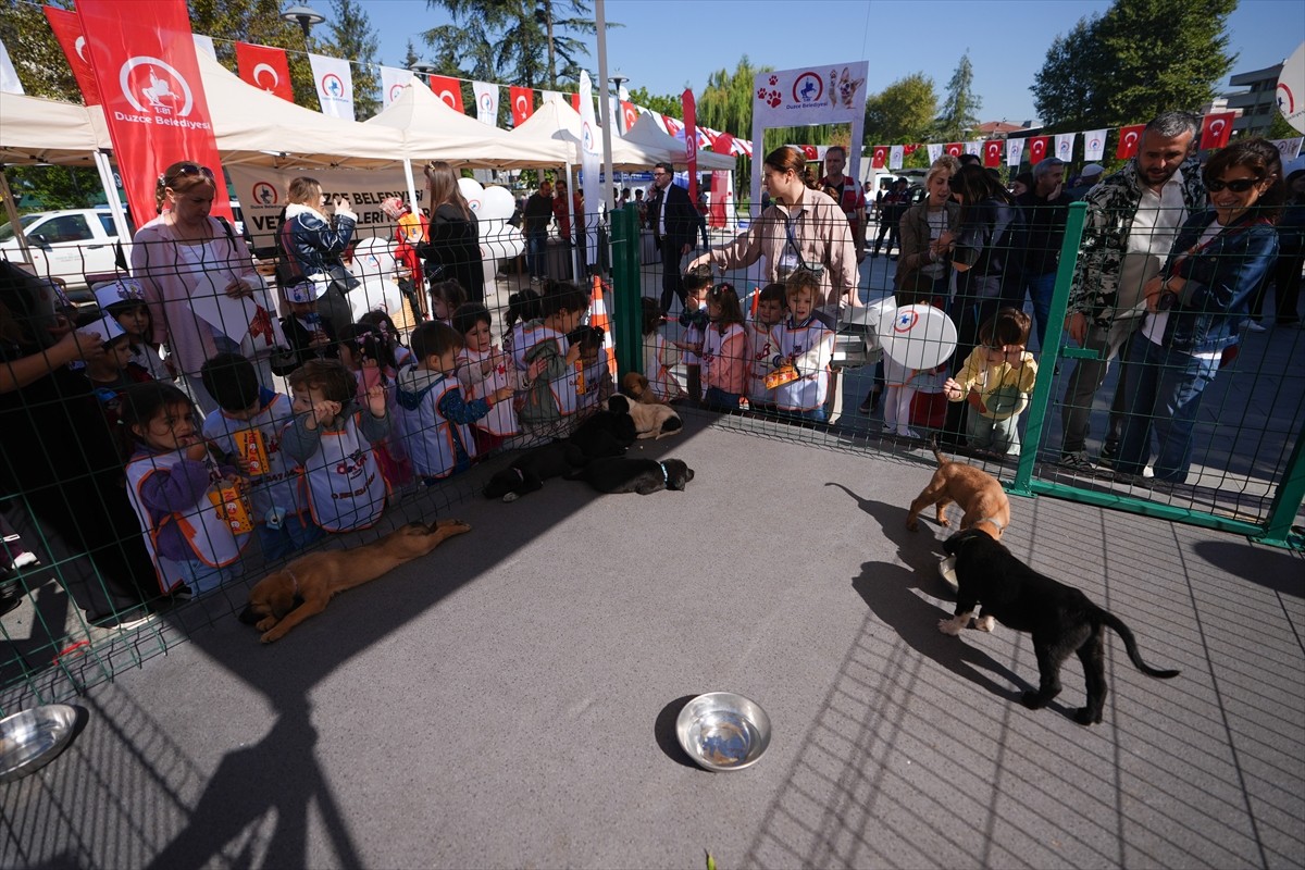 Düzce'de 4 Ekim Hayvanları Koruma Günü dolayısıyla düzenlenen "Can dostlarımıza yuva olur musun?"...