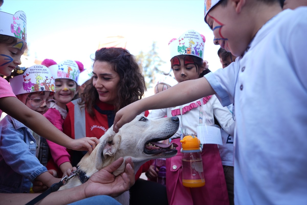 Düzce'de 4 Ekim Hayvanları Koruma Günü dolayısıyla düzenlenen "Can dostlarımıza yuva olur musun?"...