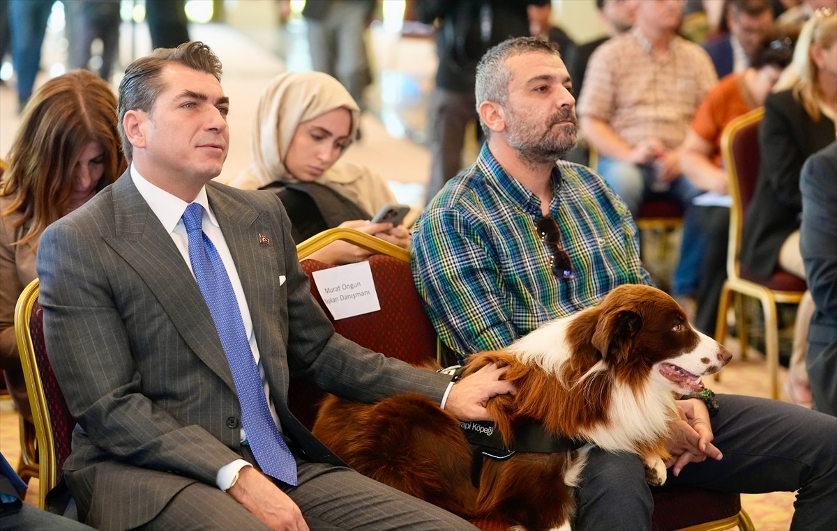 İstanbul Büyükşehir Belediyesi (İBB), sokak hayvanları sorununa ilişkin "Sahipsiz Hayvanlar Yol...