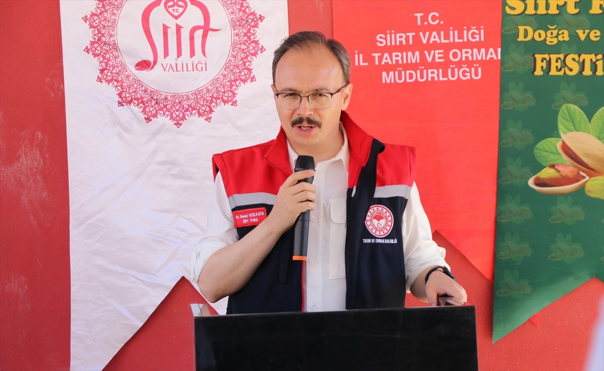 Siirt'in Tillo ilçesinde "Siirt Fıstığı Doğa ve Kültür Festivali" kapsamında fıstık hasadı...