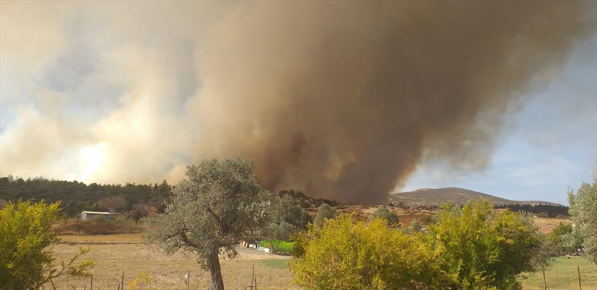 İzmir'in Foça ilçesinde çöplükte çıkan ve ormanlık alana sıçrayan yangına havadan ve karadan...