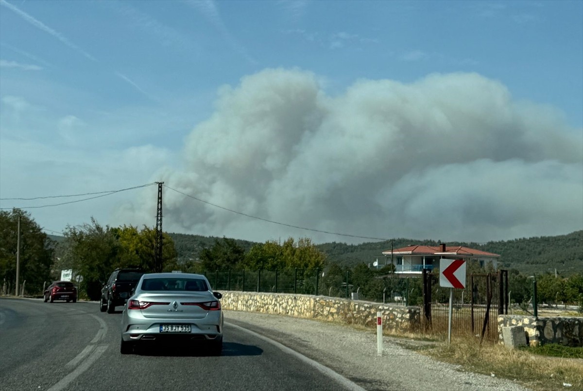 İzmir'in Foça ilçesinde çöplükte çıkan ve ormanlık alana sıçrayan yangına havadan ve karadan...