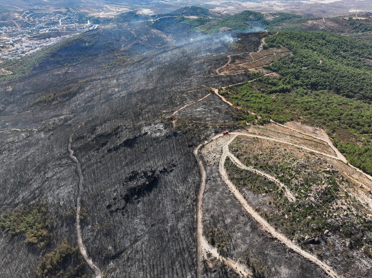 İzmir'in Foça ilçesinde çöplükte başlayarak ormana sıçrayan, yoğun müdahale ile kontrol altına...