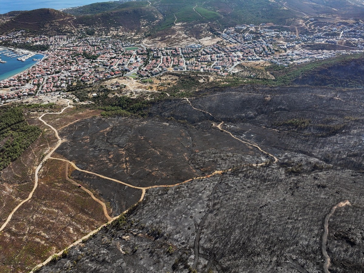 İzmir'in Foça ilçesinde çöplükte başlayarak ormana sıçrayan, yoğun müdahale ile kontrol altına...