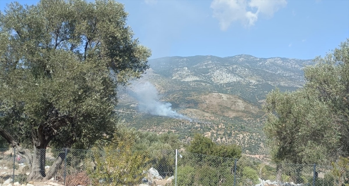 Muğla'nın Seydikemer ilçesinde, tarım alanında başlayıp makiliğe sıçrayan yangına ekipler...