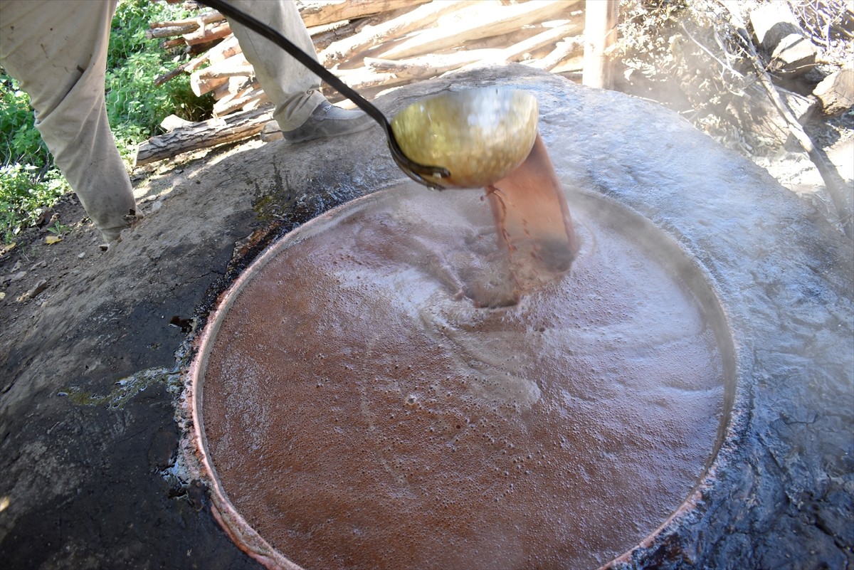 Bitlis'in Hizan ilçesinde köylüler, asırlardır geleneksel yöntemlerle üzüm pekmezi yapmayı...